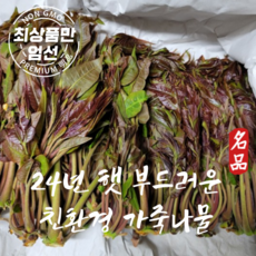 국산 친환경 햇 가죽나물 참죽나물 가죽나물순 1kg