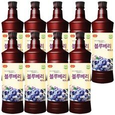 광야식품 블루베리 베이스 970ml, 9개