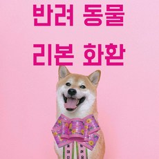 아기화환리본