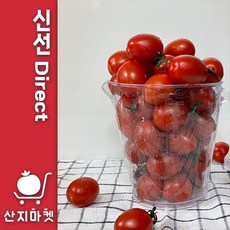 방울토마토 TOP01
