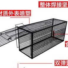 ab3b5b9cc9a2b0707a65b0d077bbc0135e8e2fd341cb880281ac9dc390e7.jpg