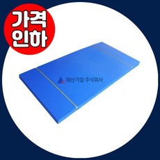 플라베니아 PVC골판지 바닥보양 플라스틱골판지 20장 청색