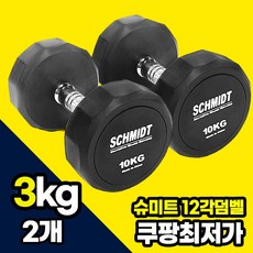 슈미트 아령 3kg 부터 20kg까지 선택구매 12각 덤벨 근력 팔운동 가슴운동 세트구매 헬스장아령 육각아령, 2개