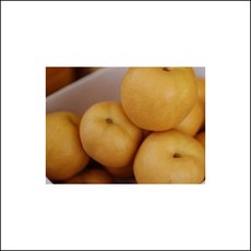 8dce37b8c4de7fb5c7f195392ccde707a9b5e6a90aa17a4d591a114fd609.jpg