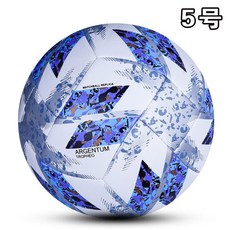 프리미어리그매치볼