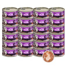 구내염 고양이 주식 캔 참치 새우 24개 영양간식 먹기편한 컵캔