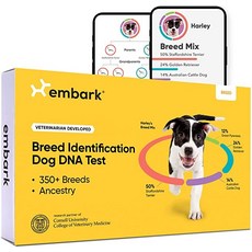 dna테스트