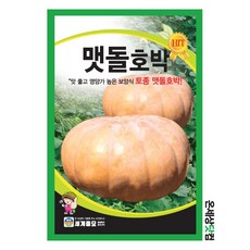 맷돌호박 1000립 / 호박씨 호박씨앗, 1개
