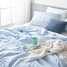 세사인견이불키즈