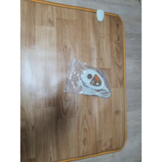 사라사라전기매트