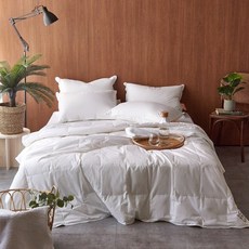 소프라움폴란드구스300