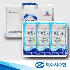 [제주시수협] 명품 제주 은갈치(상) 1호 1.5kg(500g3팩), 단일속성