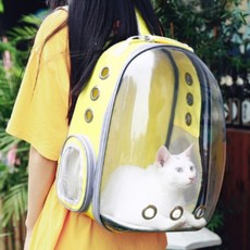 투명 반려동물 이동가방 강아지 고양이 백팩 우주창 캐리어, 상세페이지 참조, 1개
