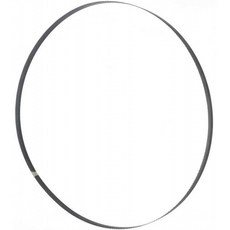 리본 시트 1575x10x0.36 mm 6 ZpZ 홀즈만 기계 BSB230B10 시트, 단일옵션