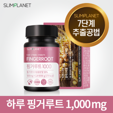 슬림플래닛