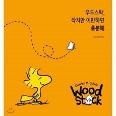피너츠책
