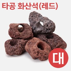 타공 화산석(레드) (대) 8~11cm, 1개