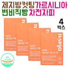 뉴트리커먼 차전자피 가르시니아 변비직빵 체지방컷팅제 칼로리컷팅제 난소화성말토덱스트린, 4박스