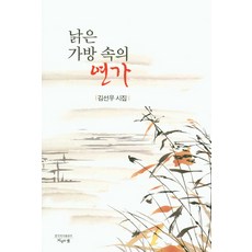 김선우