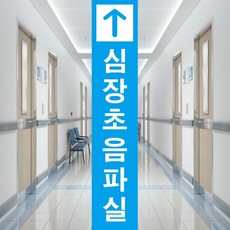 심장초음파