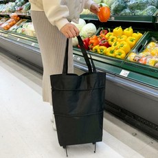 치코3단변신보행기