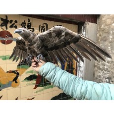 에어컨실외기수리