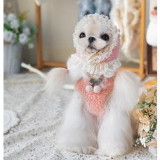 몽클레어강아지