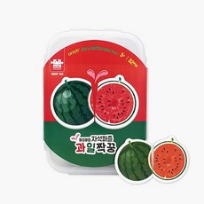 아리아띠두조각퍼즐