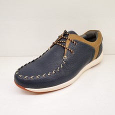 랜드로바남성화