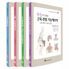 (의학서적) 한눈에 보는 해부학 시리즈 (전4권 1세트), 신흥메드싸이언스