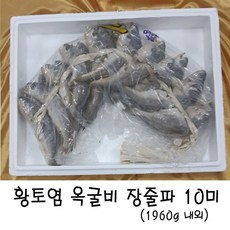 파굴비