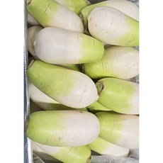 알뜰농장 제주도 다발무 작업 월동무 동치미 햇무 3수(3~4kg내외) /6수(7~8kg내외), 1개, 제주 월동무 3수(3~4kg내외)