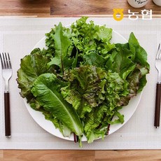 GAP인증 농협선별 모듬 쌈채소 600g 1kg, 01.모듬 쌈채소 600g, 1개