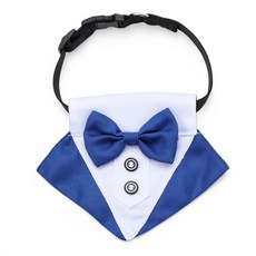 나비넥타이판매