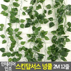 단독주택 식당 인조 장식용 넝쿨2M 12줄 인테리어 싱그러운 펜션 카페