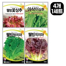 모칸도 추천 상추씨앗 모음 4종 세트 사계절 쌈채소 청치마 적치마 꽃상추 아삭이상추, 1세트 1세트