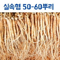 0d350316e64f37222536b51ef37ad8052c31b9f4b5f187e792fd457c75b4.jpg
