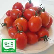 [초록초록팜] 유기농 대추 방울 토마토 2kg 친환경 방토, 1개, 상세 설명 참조