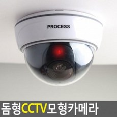 ★가격비교 가성비★가짜CCTV 돔형 모형카메라 YS20SE11, 단일옵션