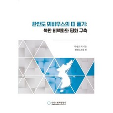 한반도 뫼비우스의 띠 풀기