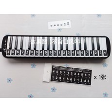 검정멜로디언