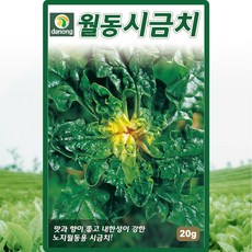 월동시금치 씨앗 시금치 씨 종자 20g, 1개