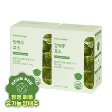 그린이너프 양배추 효소 20포, 40g, 4개