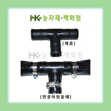 t애자앵글