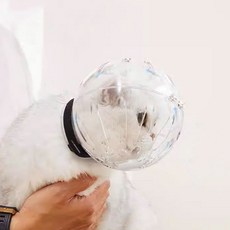 딩동펫 써큘러 헬멧 고양이 입마개 M, 혼합색상, 1개