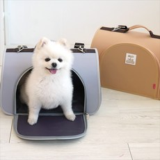 돔돔이동장