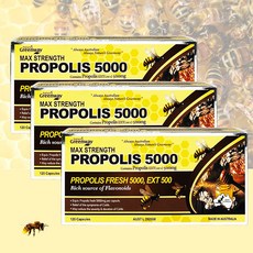 호주 네이쳐스그린웨이 프로폴리스 5000 호주산 고함량 프리미엄 원액-레드씰 증정, 3개(23%할인+고급사은품), 3개, 120정