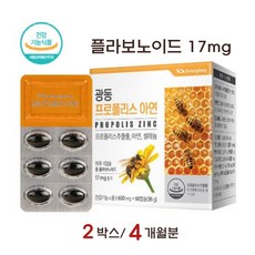알레르기비염약