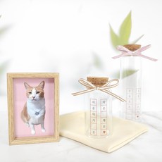 고양이 수염통 강아지 털 보관함 케이스, 네가 준 작은 행운, 1개