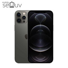 아이폰12프로그래파이트